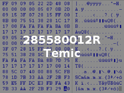 285580012R Temic