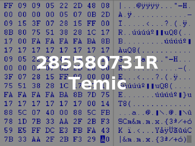 285580731R Temic