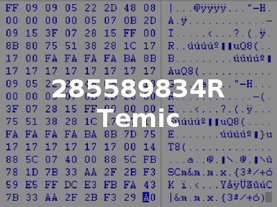 285589834R Temic