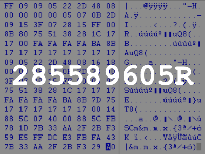 285589605R