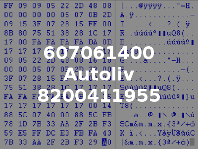 607061400 Autoliv 8200411955