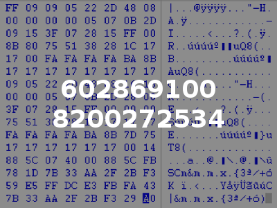 602869100 8200272534
