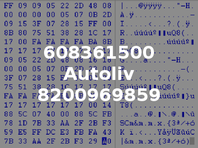608361500 Autoliv 8200969859
