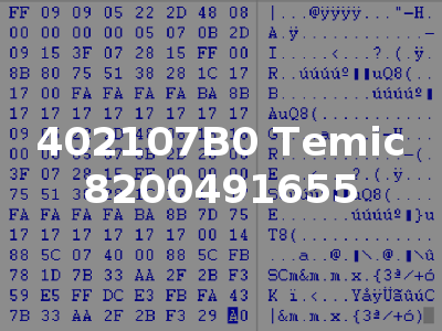 402107B0 Temic 8200491655