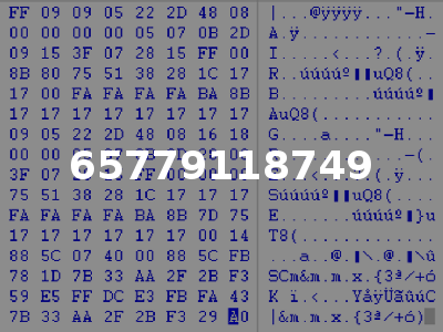 65779118749