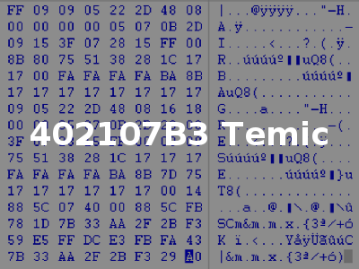 402107B3 Temic