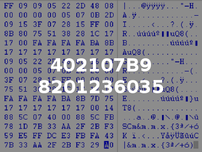 402107B9 8201236035
