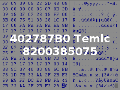 402787B0 Temic 8200385075