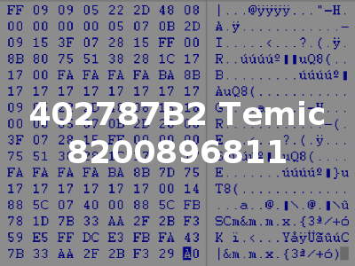 402787B2 Temic 8200896811