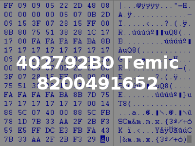 402792B0 Temic 8200491652