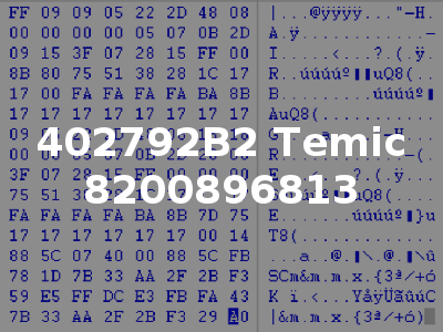 402792B2 Temic 8200896813