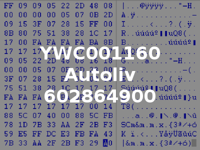 YWC001160 Autoliv 602864900