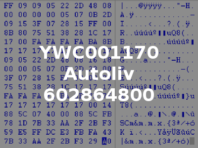 YWC001170 Autoliv 602864800