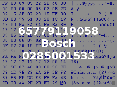 65779119058 Bosch 0285001533