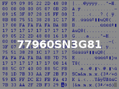 77960SN3G81