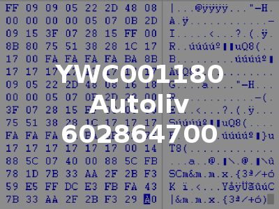 YWC001180 Autoliv 602864700