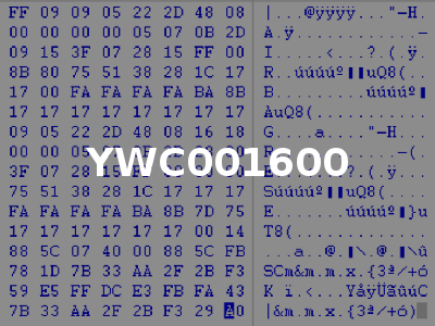YWC001600