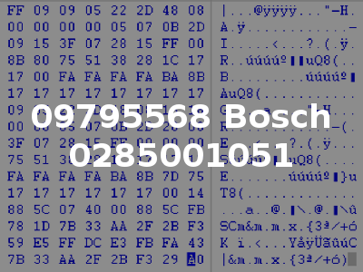 09795568 Bosch 0285001051
