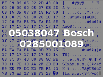 05038047 Bosch 0285001089