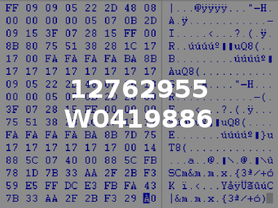 12762955 W0419886