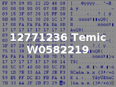 12771236 Temic W0582219