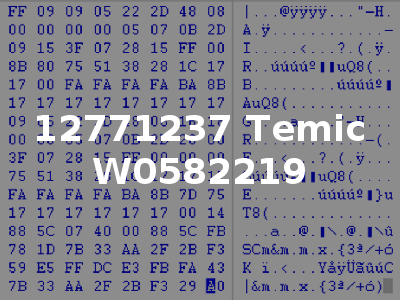 12771237 Temic W0582219