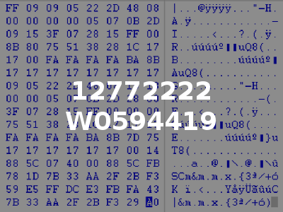 12772222 W0594419