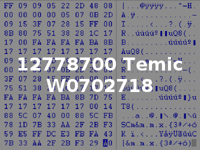 12778700 Temic W0702718