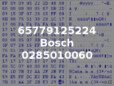 65779125224 Bosch 0285010060