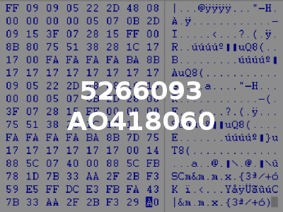 5266093 AO418060
