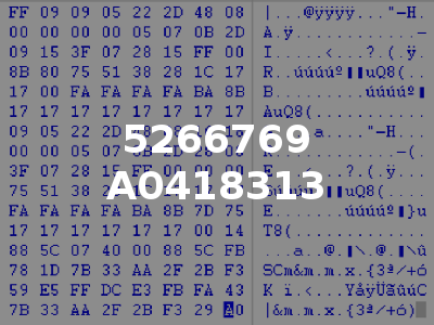 5266769 A0418313