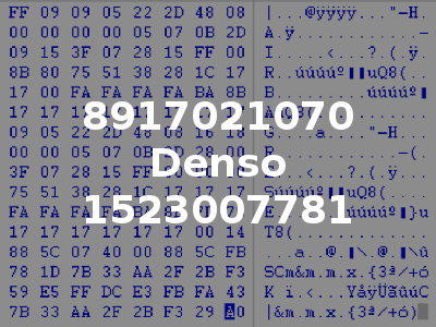 8917021070 Denso 1523007781