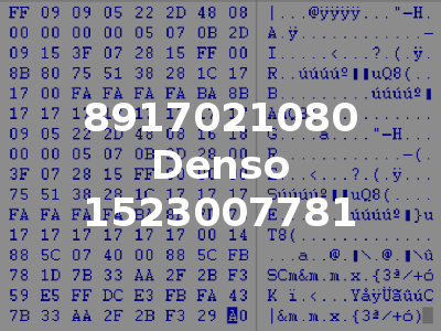 8917021080 Denso 1523007781