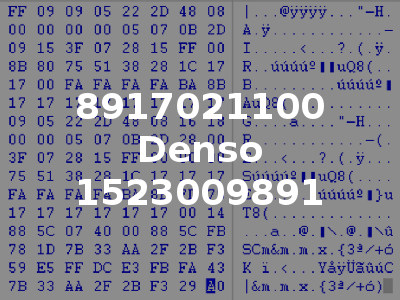 8917021100 Denso 1523009891