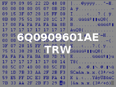 6Q0909601AE TRW