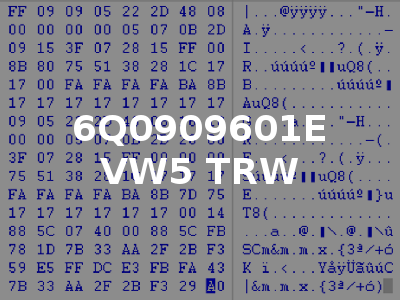 6Q0909601E VW5 TRW