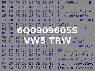 6Q0909605S VW5 TRW