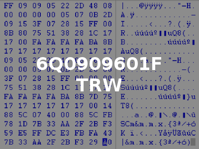 6Q0909601F TRW