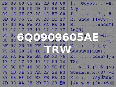 6Q0909605AE TRW