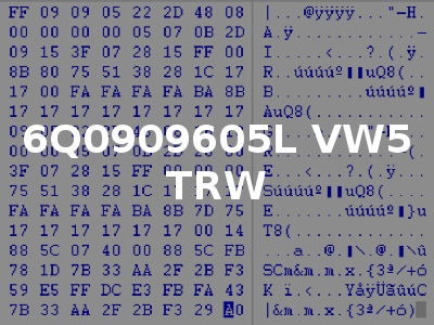 6Q0909605L VW5 TRW