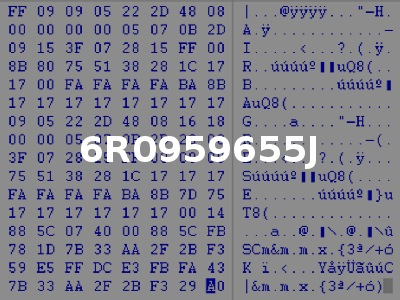 6R0959655J
