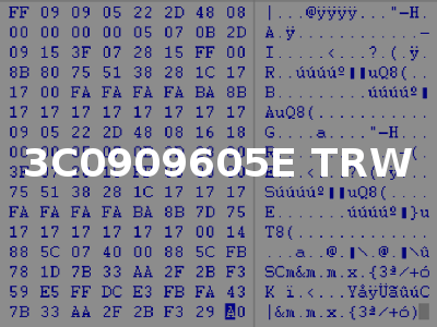 3C0909605E TRW