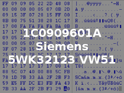 1C0909601A Siemens 5WK32123 VW51