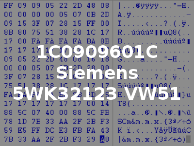 1C0909601C Siemens 5WK32123 VW51
