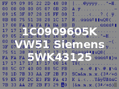 1C0909605K VW51 Siemens 5WK43125