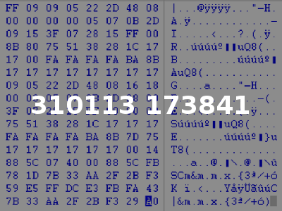 310113 173841