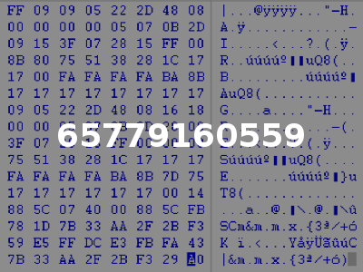 65779160559