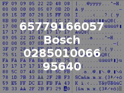 65779166057 Bosch 0285010066