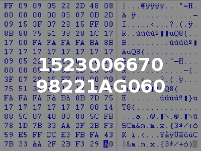1523006670 98221AG060