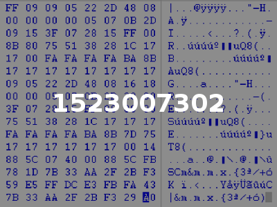 1523007302